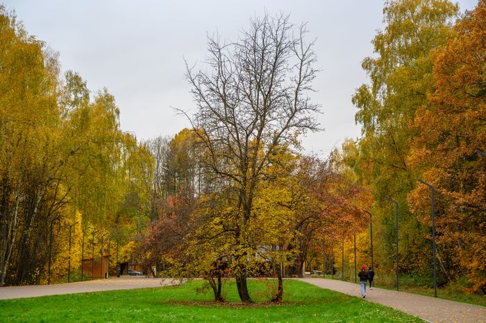 Парк «Апаринки» осенью в городе Видное Ленинского округа