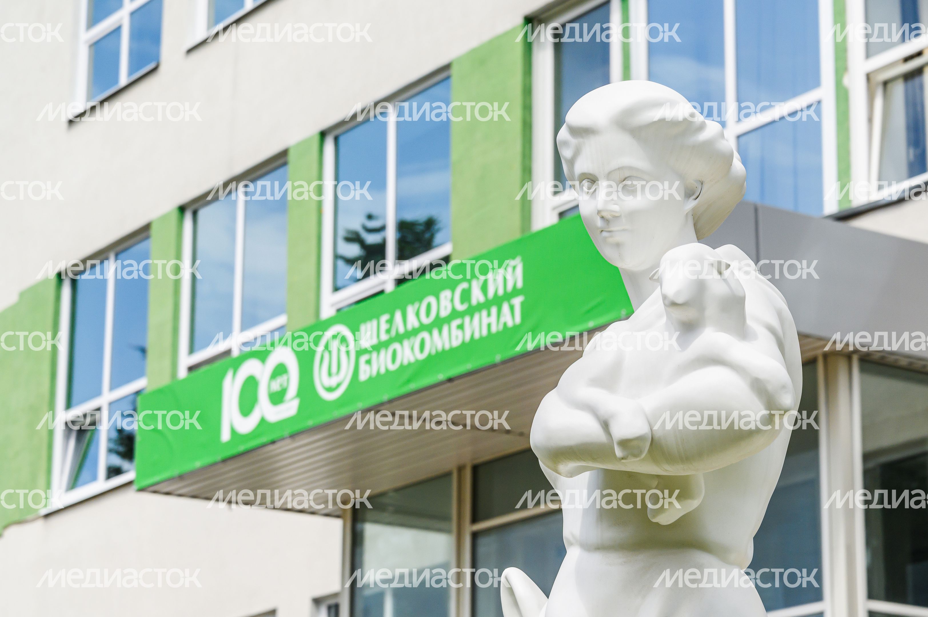 Щелковский биокомбинат в Лосино-Петровском округе Щелковский биокомбинат в Лосино-Петровском округе