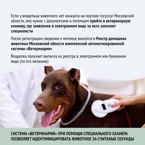 Зарегистрировать домашнее животное ред 2-квадрат-08.png