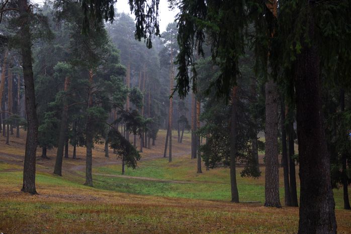 Лесопарковая зона в Жуковском