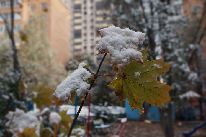 Первый снег в Пушкино