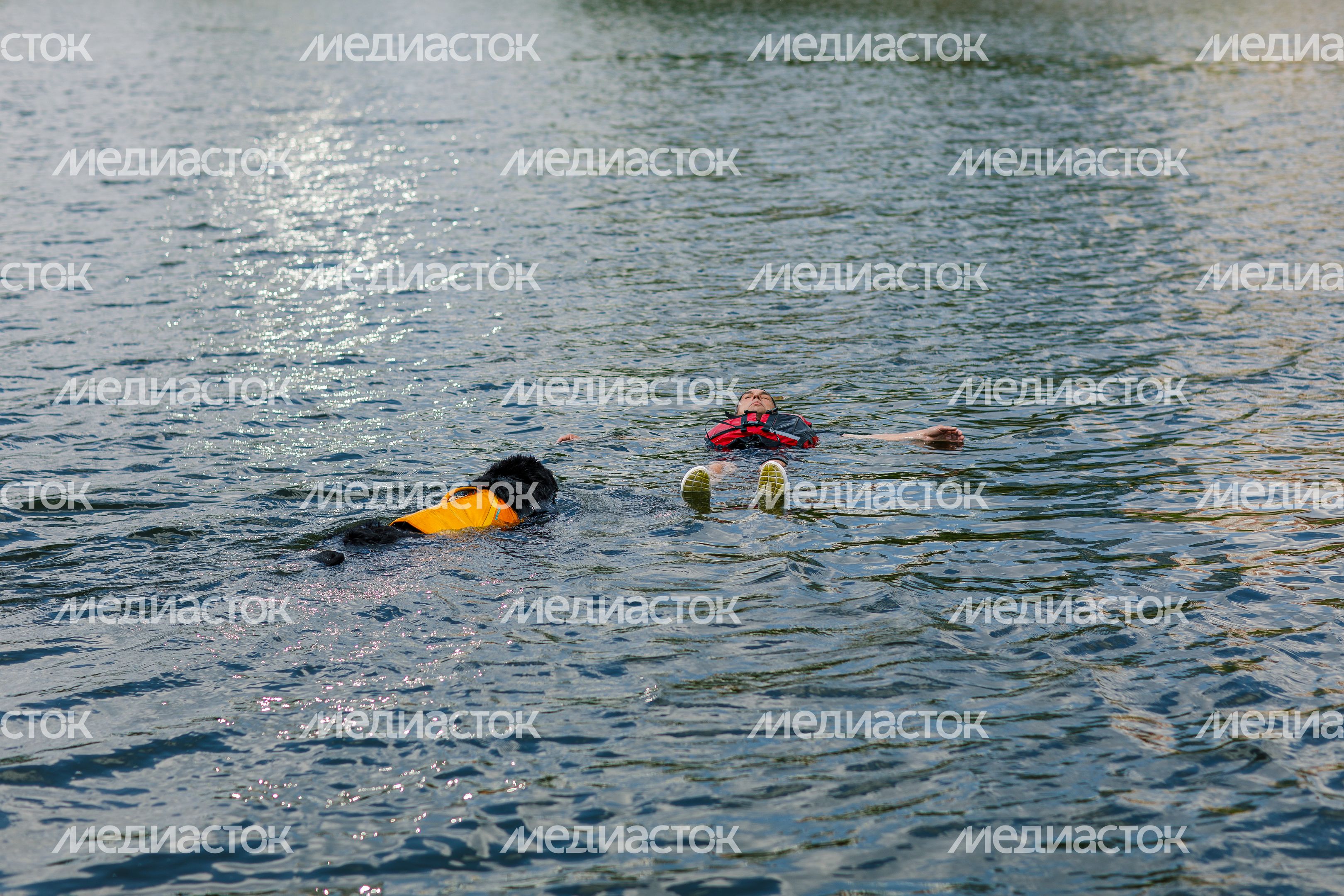 Фестиваль водных видов спорта "Вода для всех" прошел в Красногорске