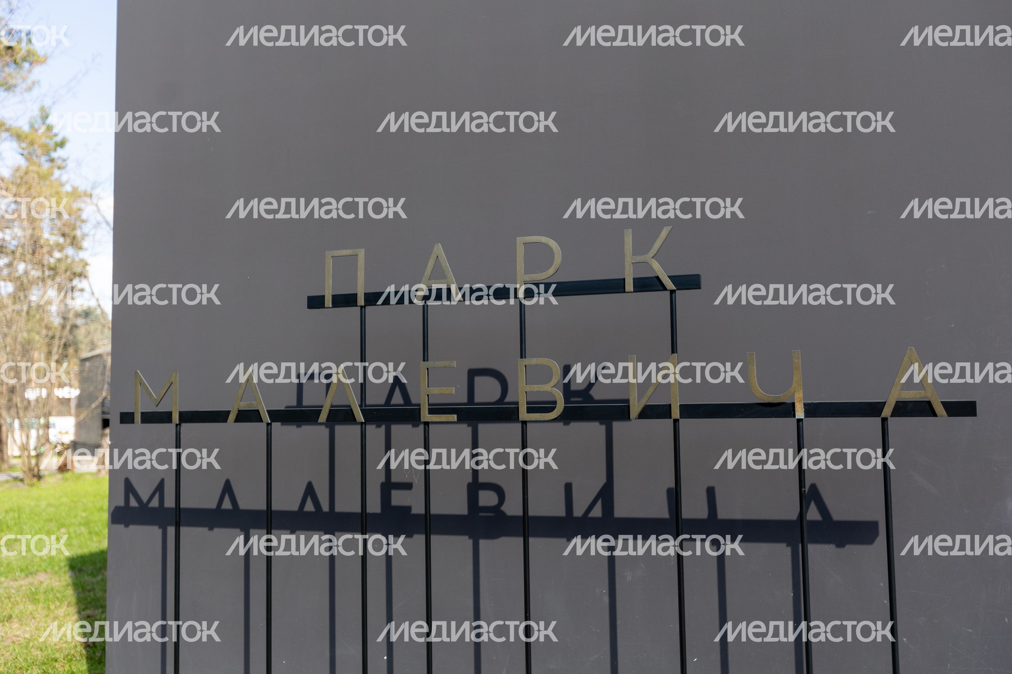 Парк Малевича Парк Малевича