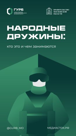 Народные дружины вертикаль 01
