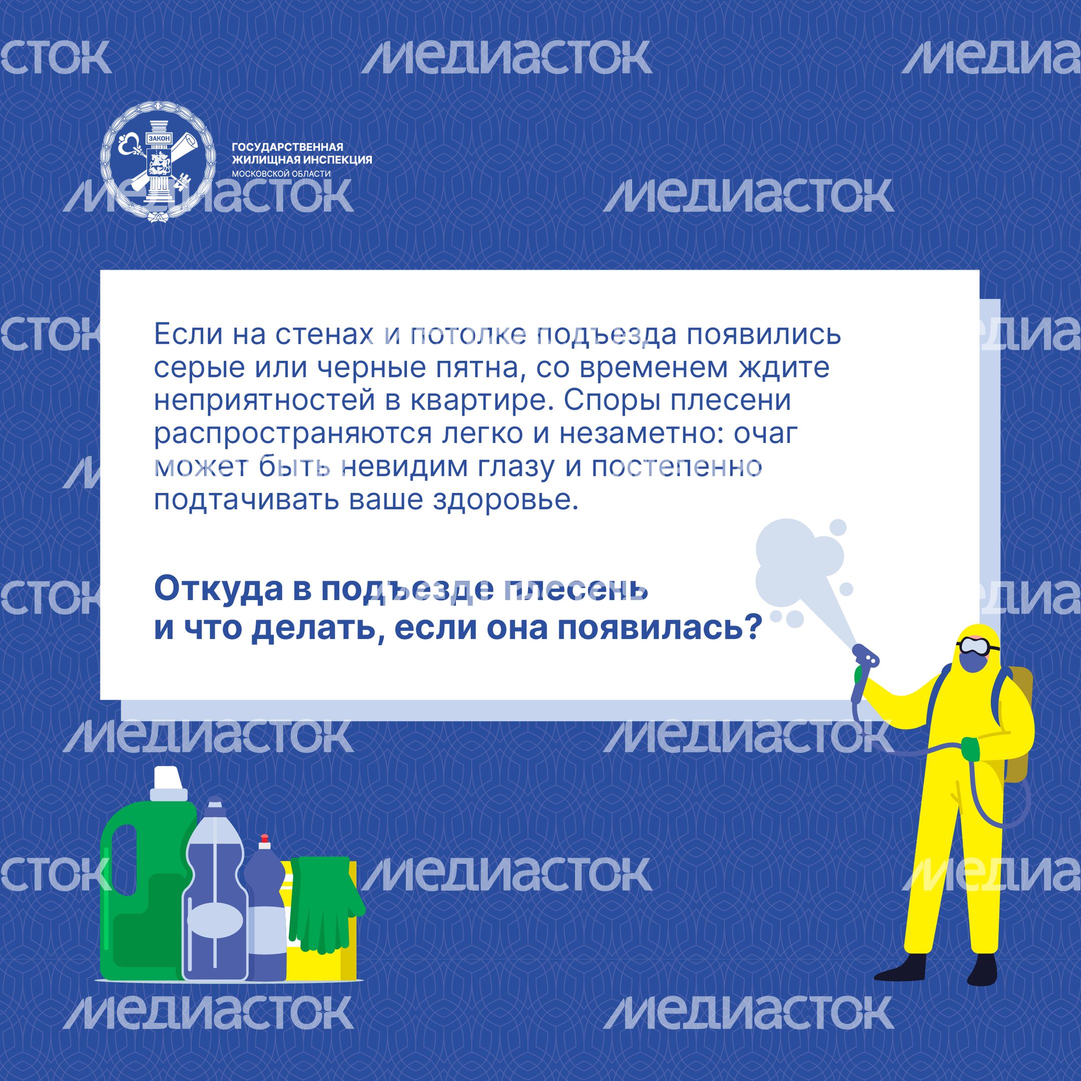 Квадрат Плесень 02.jpg