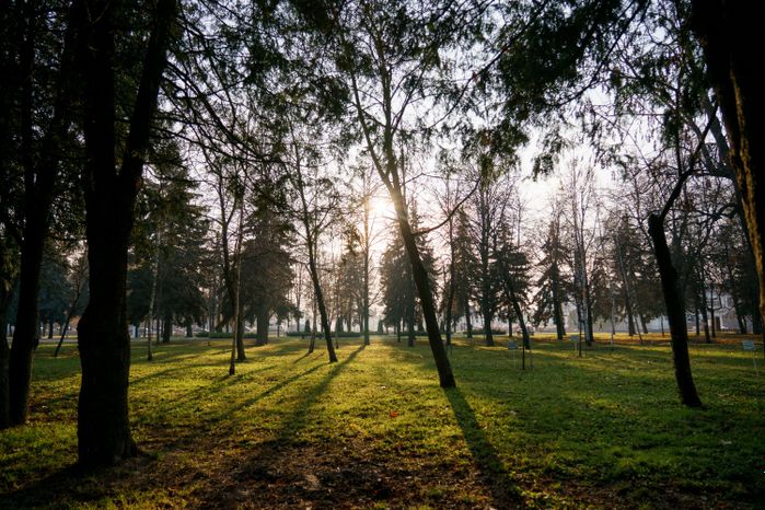 Мемориальный парк. г. Коломна