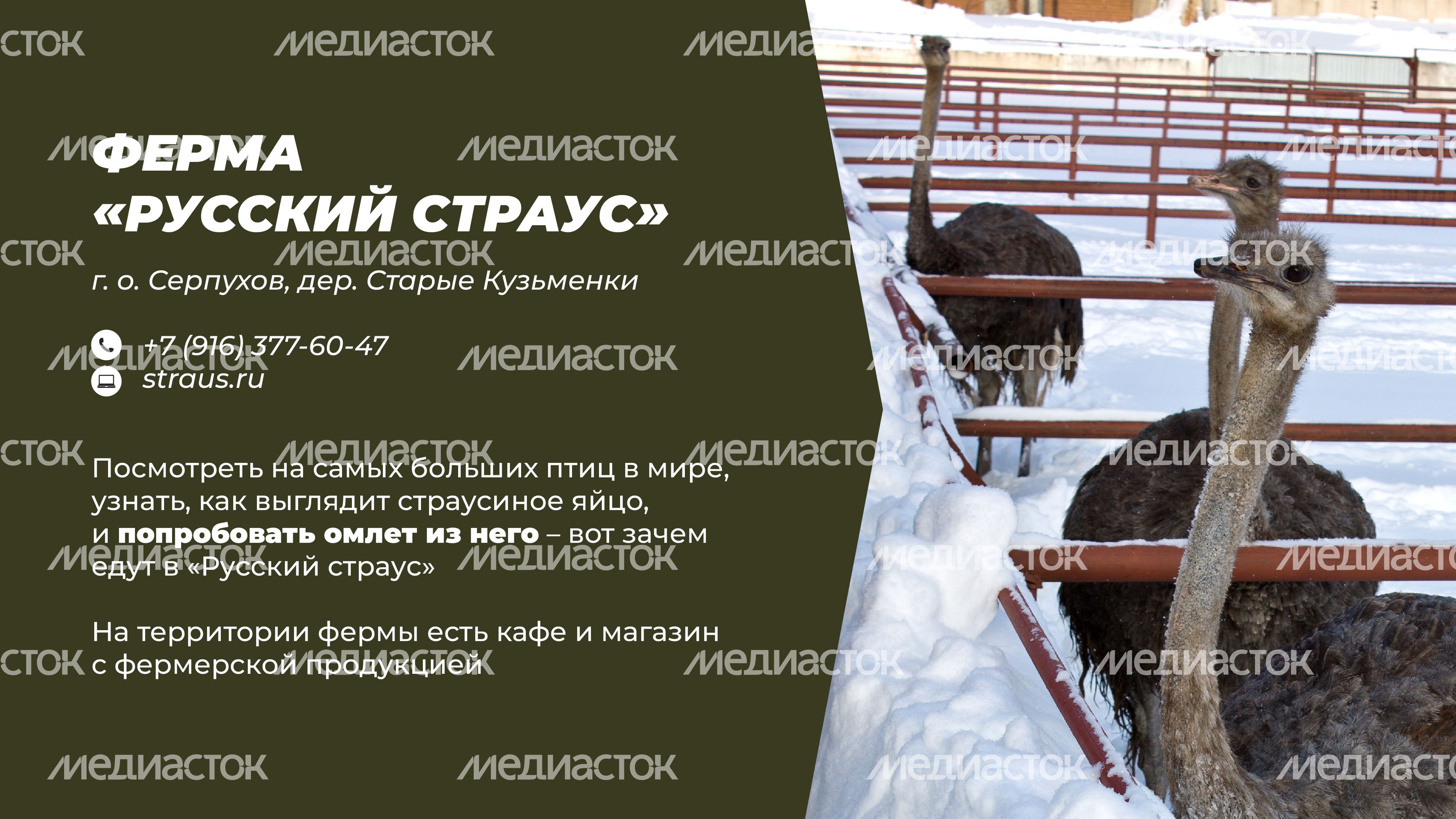 Фермы с животными-16.jpg