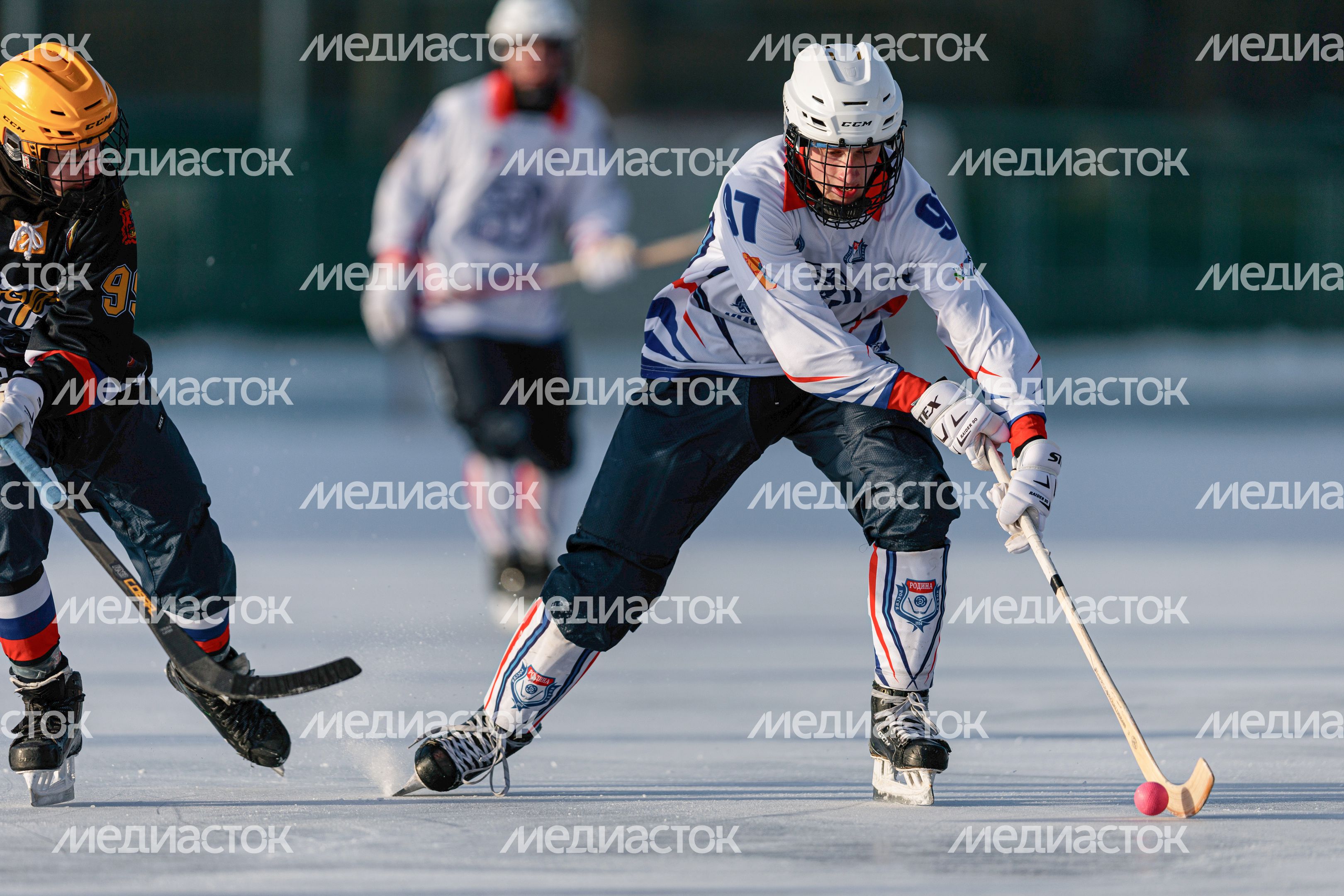 Чемпионат России по хоккею с мячом в Красногорске Чемпионат России по хоккею с мячом в Красногорске
