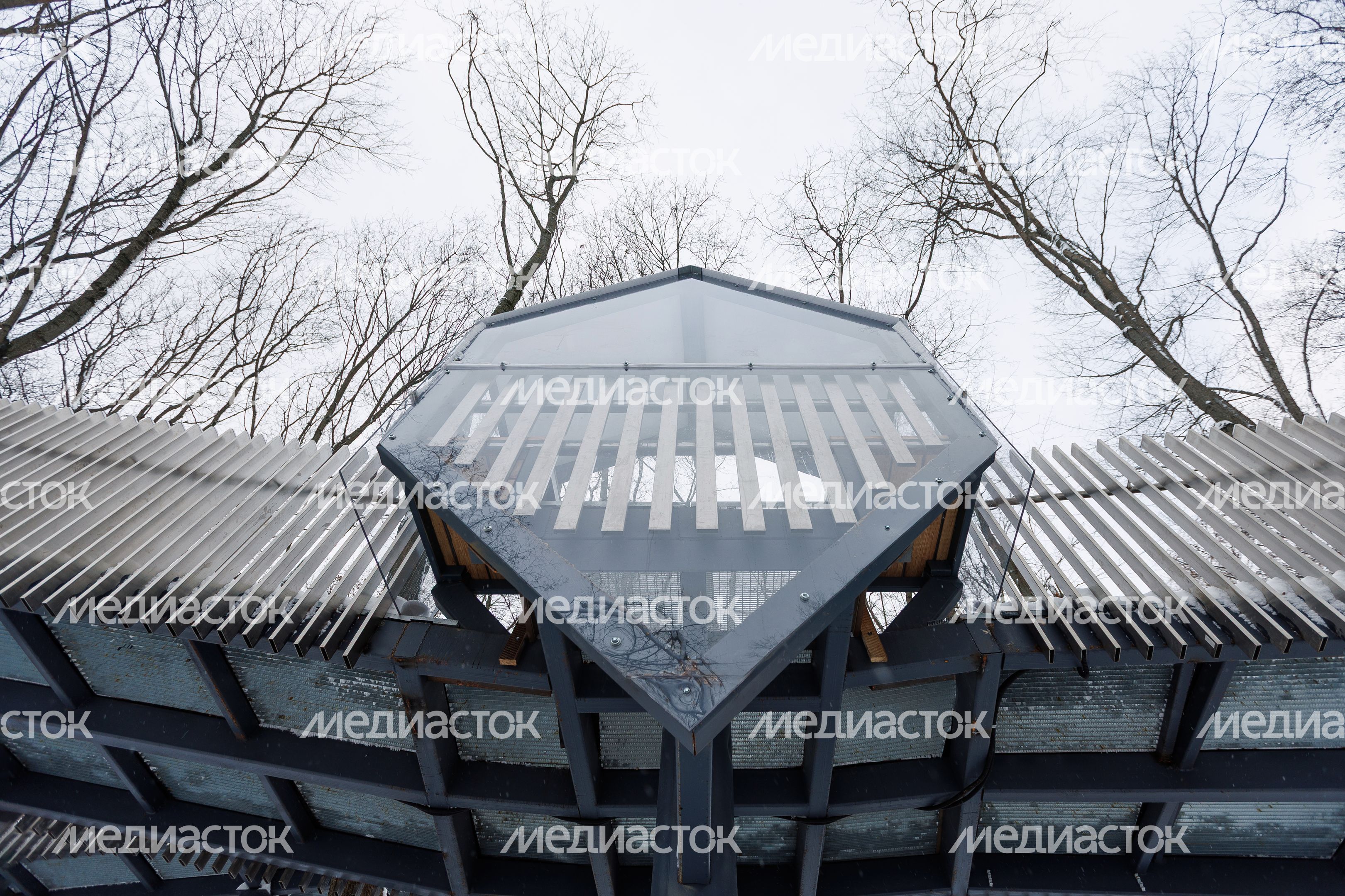 Зима в парке культуры и отдыха имени Л.Н. Толстого в Химках