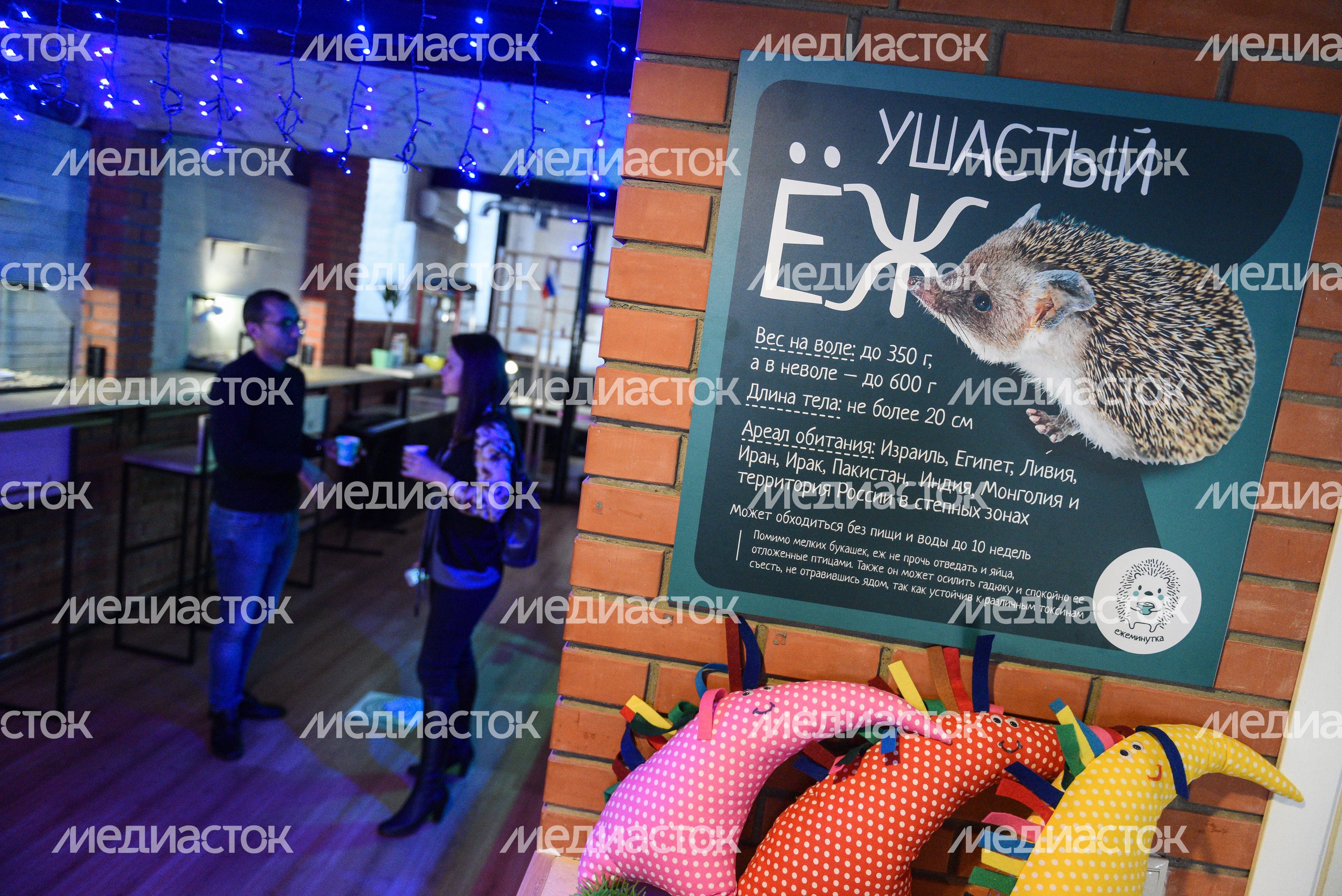 Кафе «Ежеминутка»