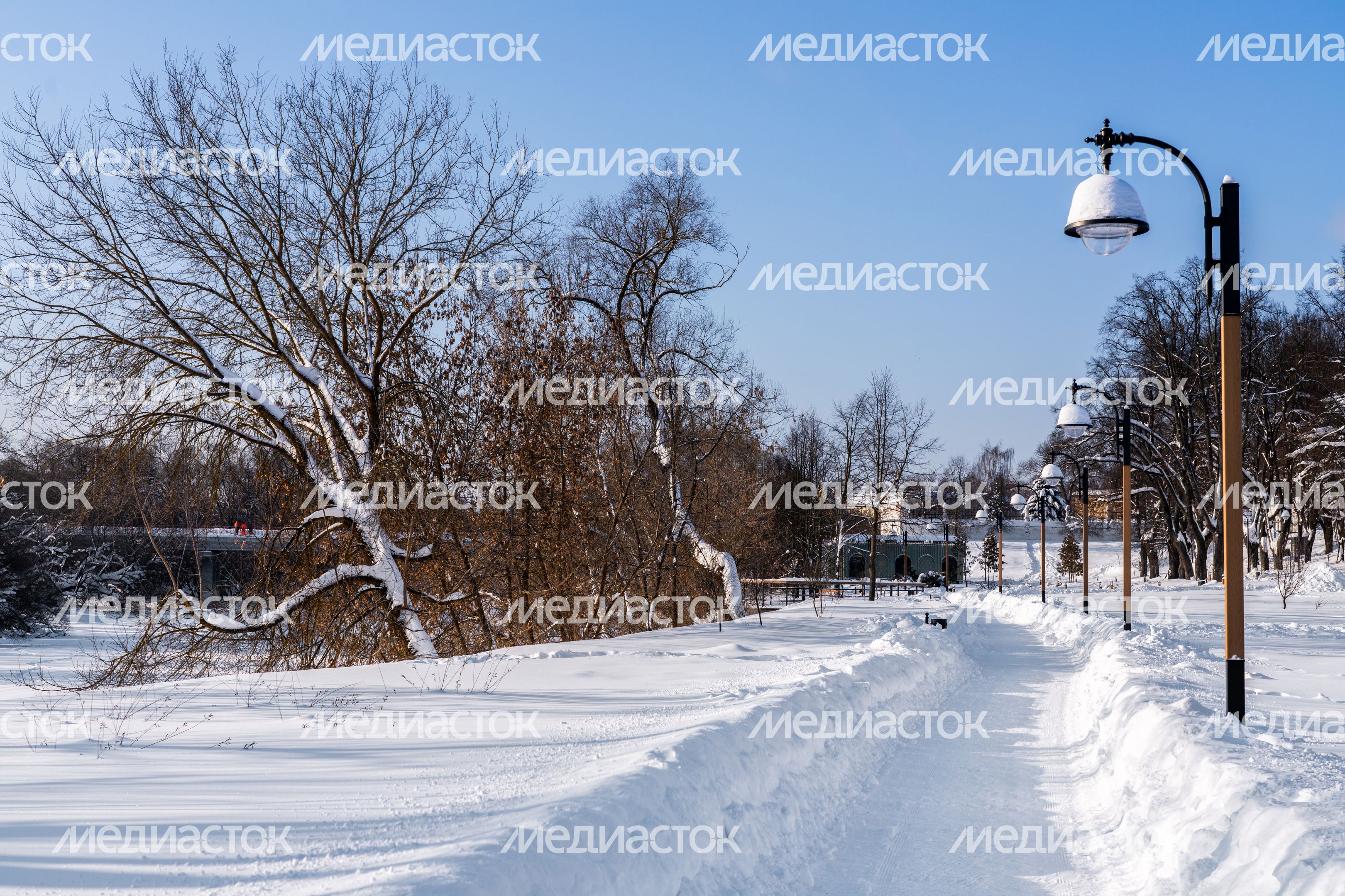 Парк «Певческое поле» в поселке Дубровицы в Подольске