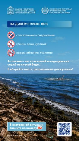 Особенности диких пляжей 2026 Вертикаль 02