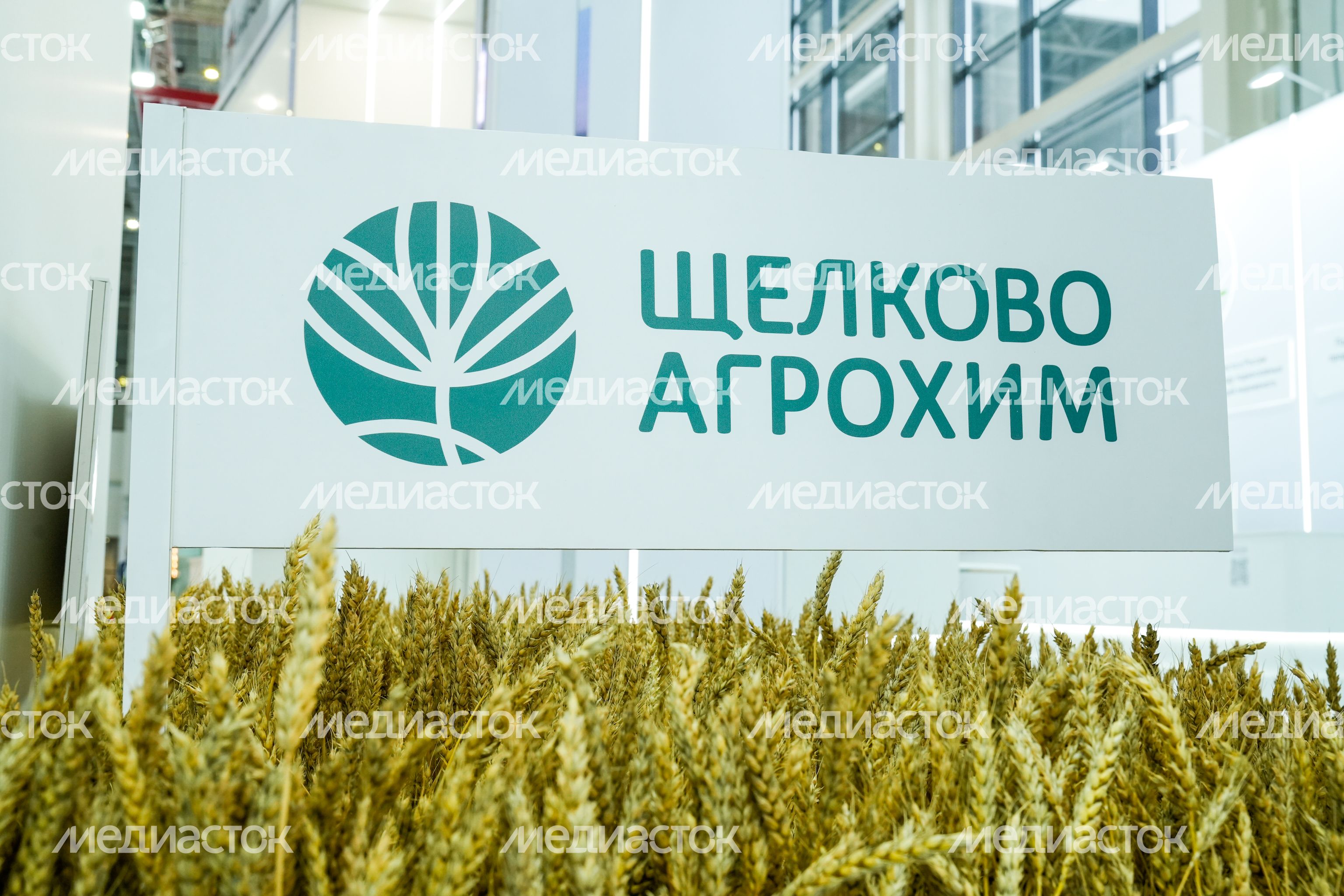 Стенд Подмосковья на выставке "Золотая осень - 2025" Стенд Подмосковья на выставке "Золотая осень - 2025"