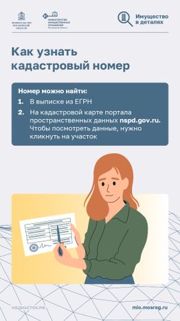 Что такое кадастровый номер участка вертикаль 04