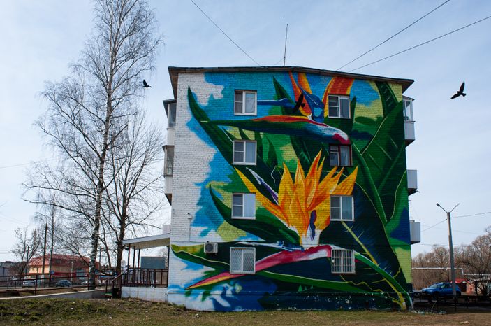 Виды города Рошаль