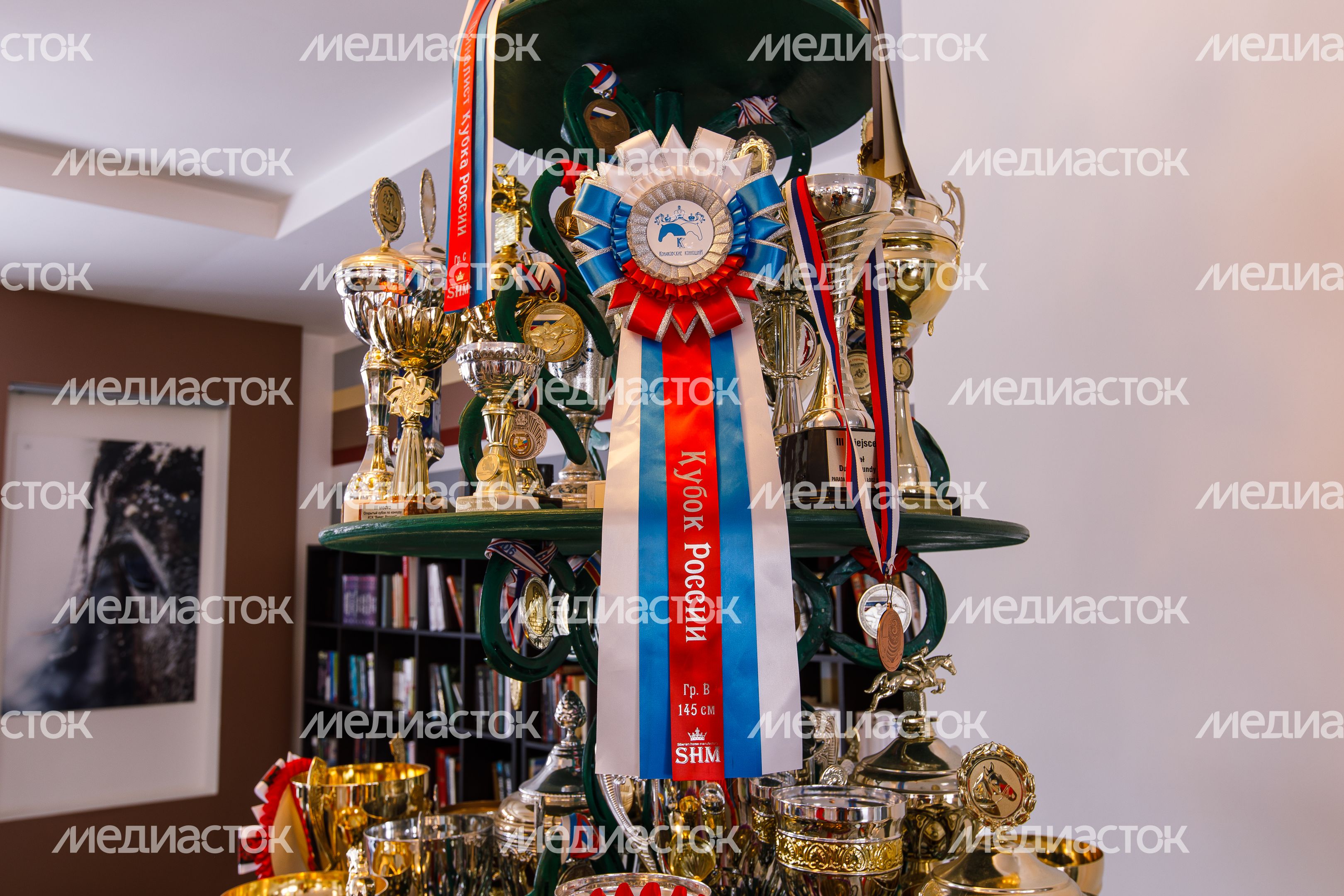 Конноспортивный клуб «Дивный» в деревне Падиково в Истре Конноспортивный клуб «Дивный» в деревне Падиково в Истре