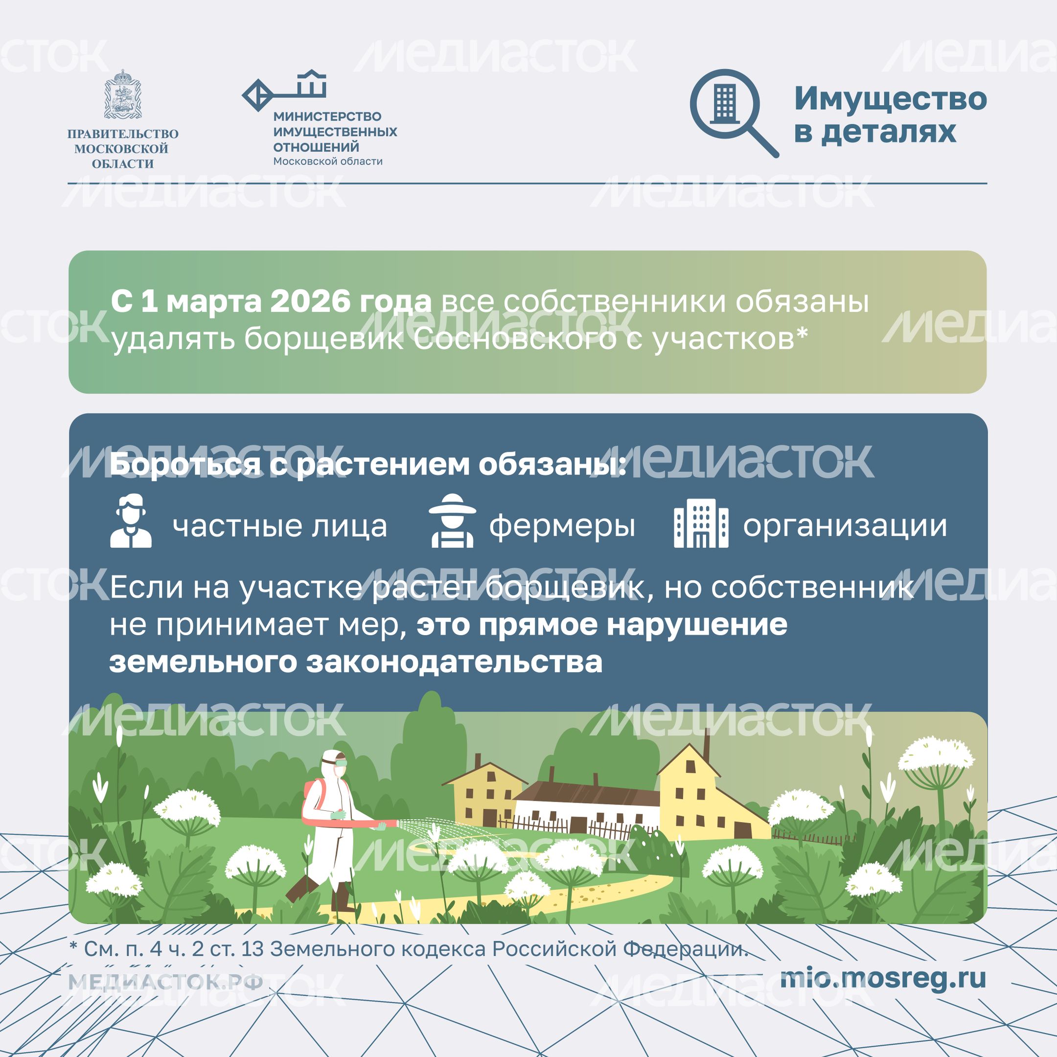Борьба с борщевиком квадрат 02 Борьба с борщевиком квадрат 02