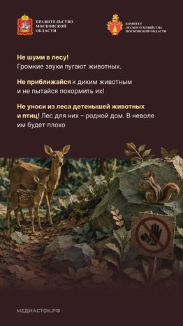 Пребывание граждан в лесах Вертикаль 06