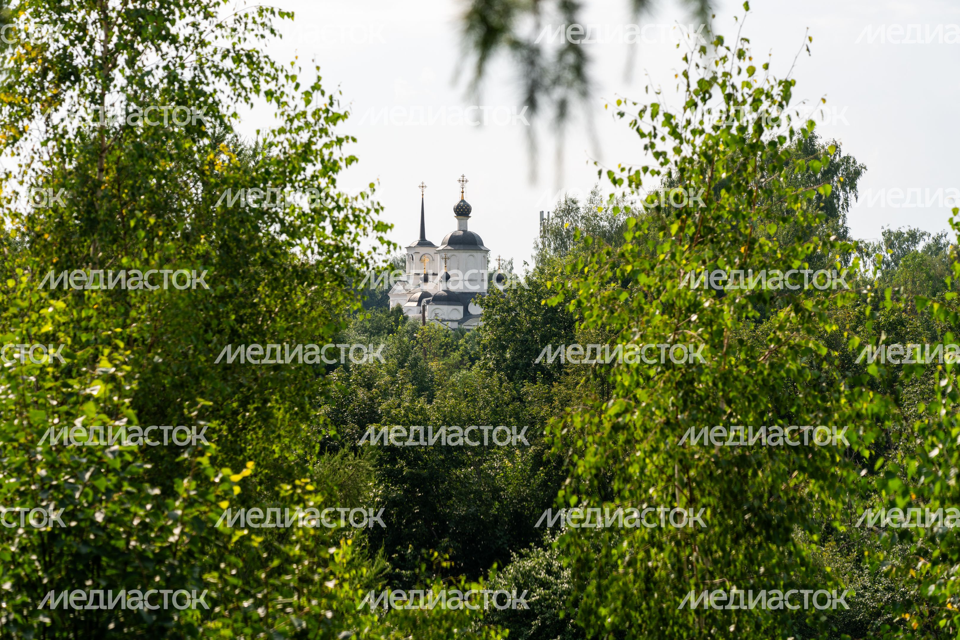 Парк культуры и отдыха "Городок" в Рузе. Лето Парк культуры и отдыха "Городок" в Рузе. Лето