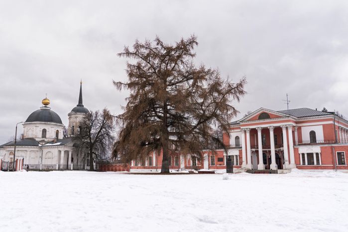 Усадьба Гончаровых