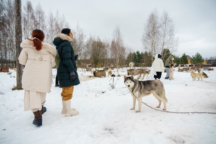 Чукотское стойбище "Хаски парк" в Раменском округе зимой