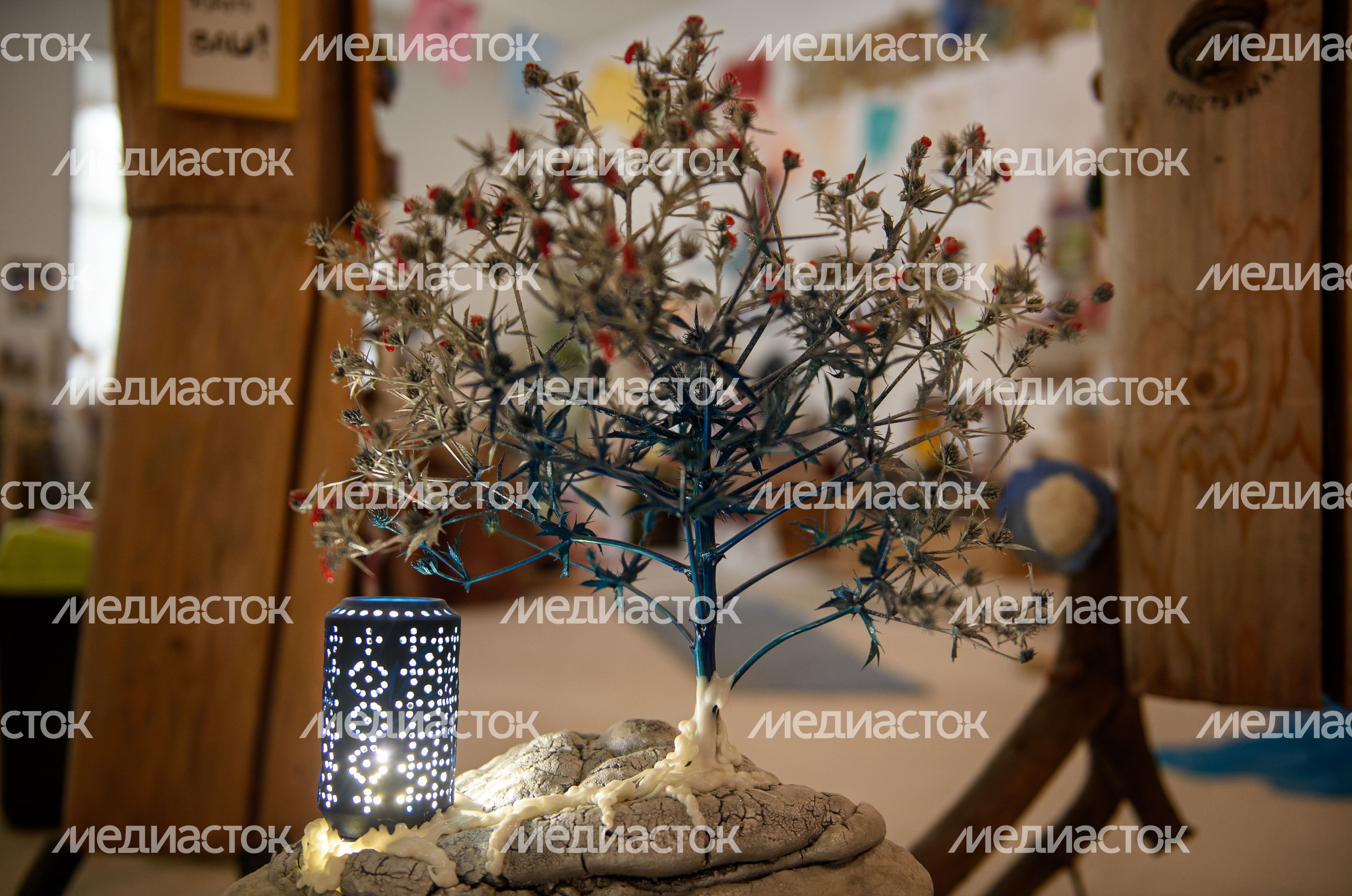 Интерактивный ЭкоМузей «МУЗМУС»