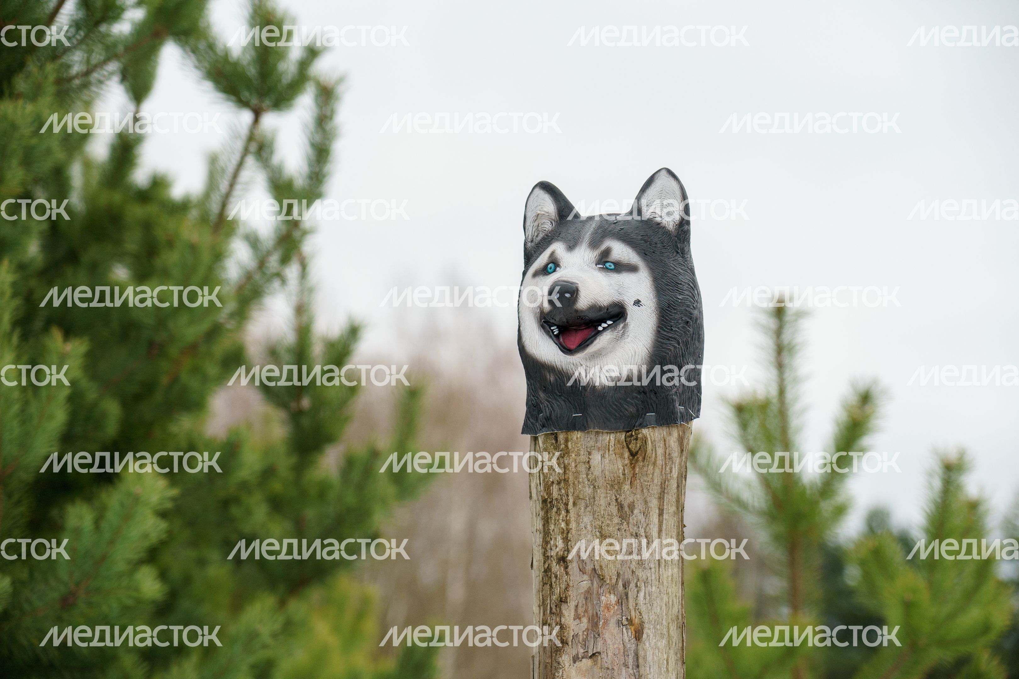 Чукотское стойбище "Хаски парк" в Раменском округе зимой