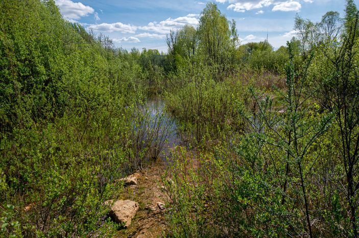 Гжельский Ярус в Раменском городском округе