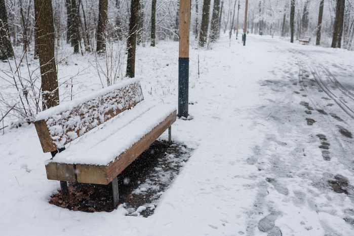 Первый снег в Химкинском лесу