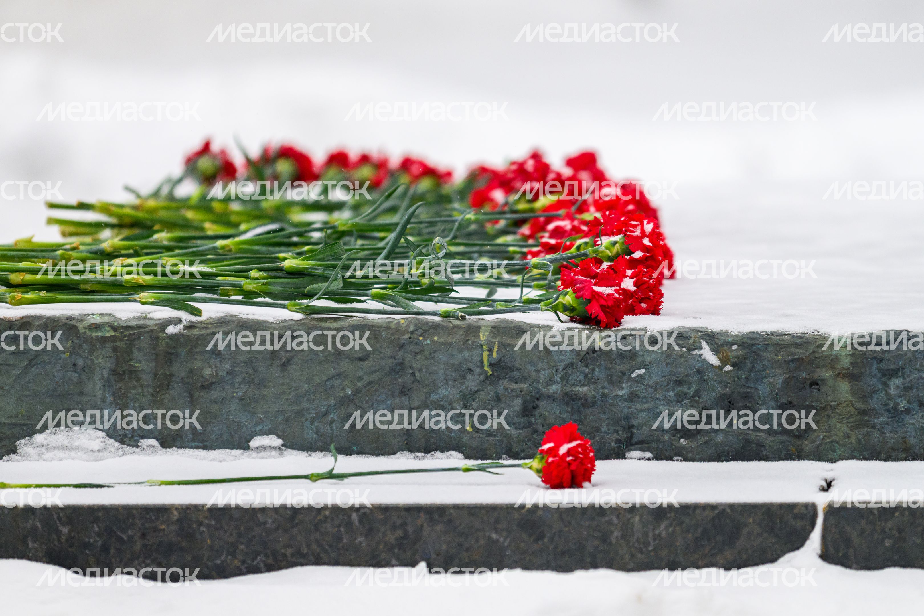 Возложение цветов к памятнику первому космонавту Юрию Гагарину в Звездном городке Возложение цветов к памятнику первому космонавту Юрию Гагарину в Звездном городке
