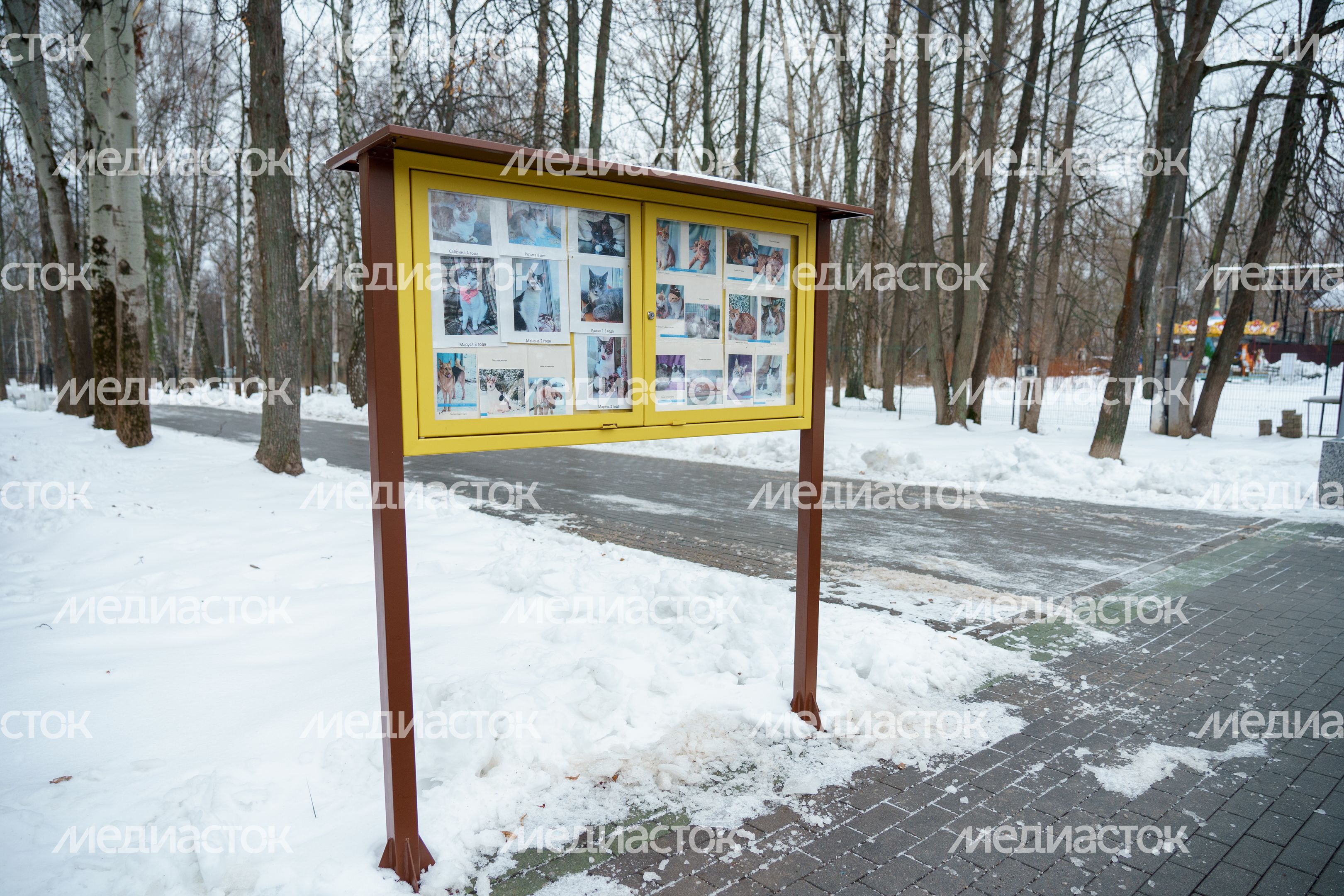 Кашира. Городской парк. Зима Кашира. Городской парк. Зима