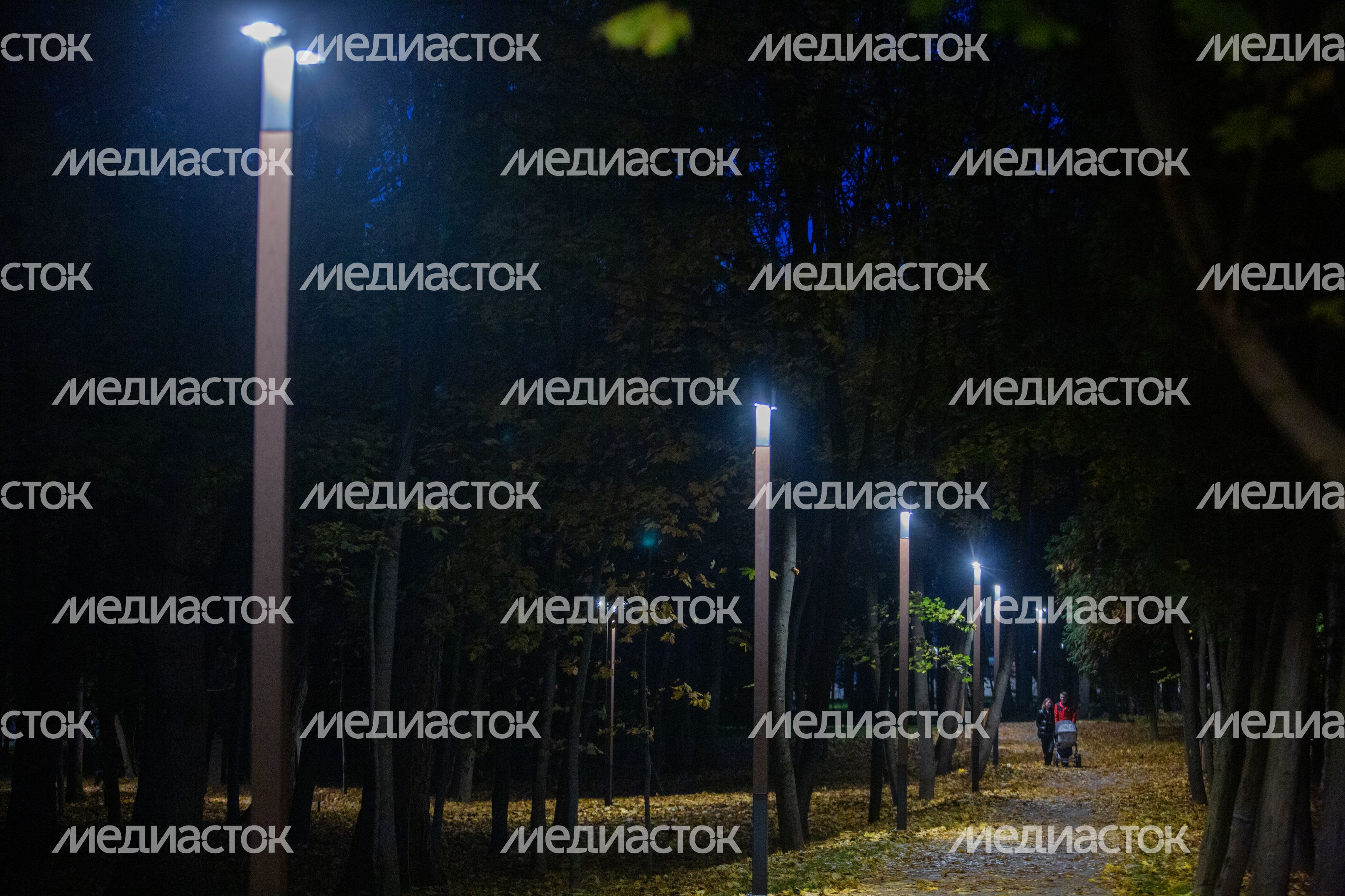 Парк Беличий в Краснознаменске Парк Беличий в Краснознаменске