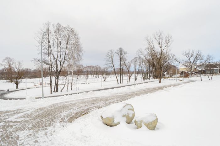 Бронницы. Парк «Бронницкий луг». Зима