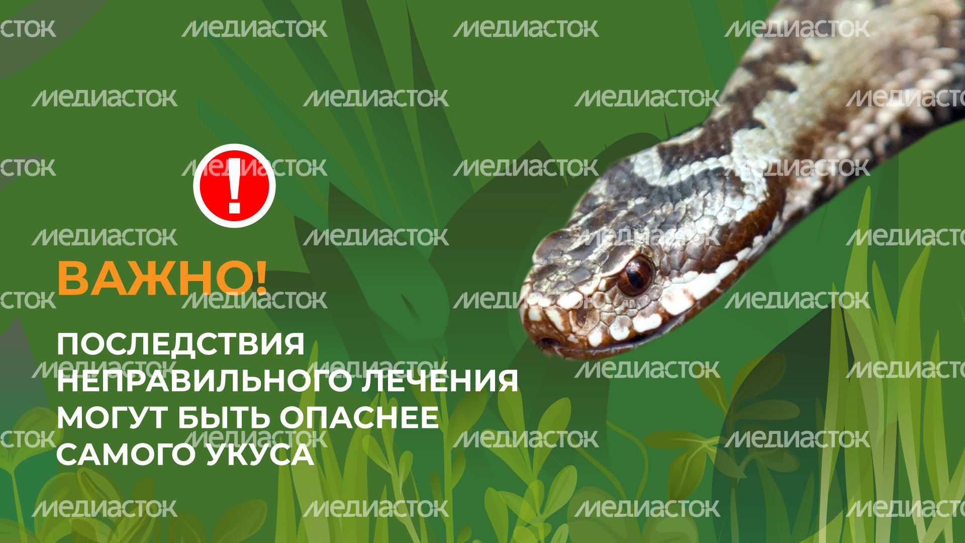 уппр_змеи_гор_9