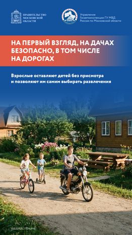 Дача территория безопасности 2026 Вертикаль 02