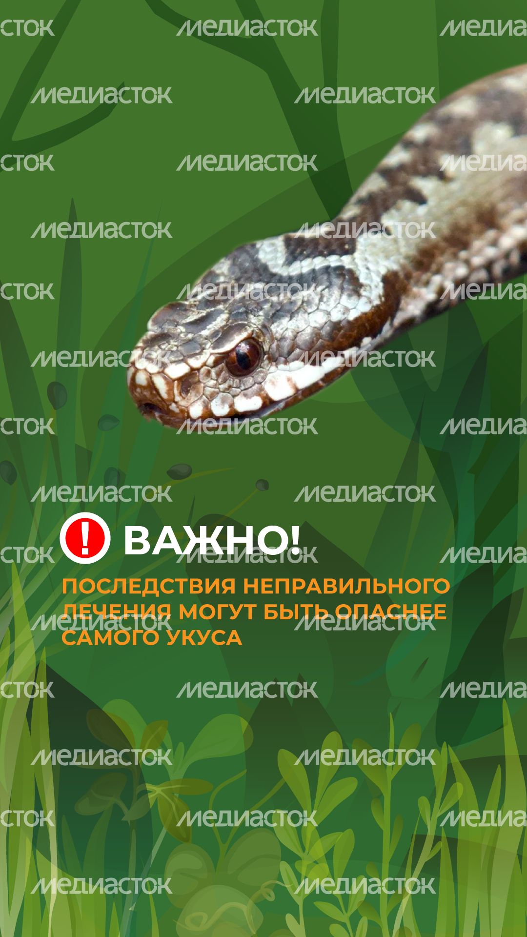 комлесхоз_змеи_верт_9