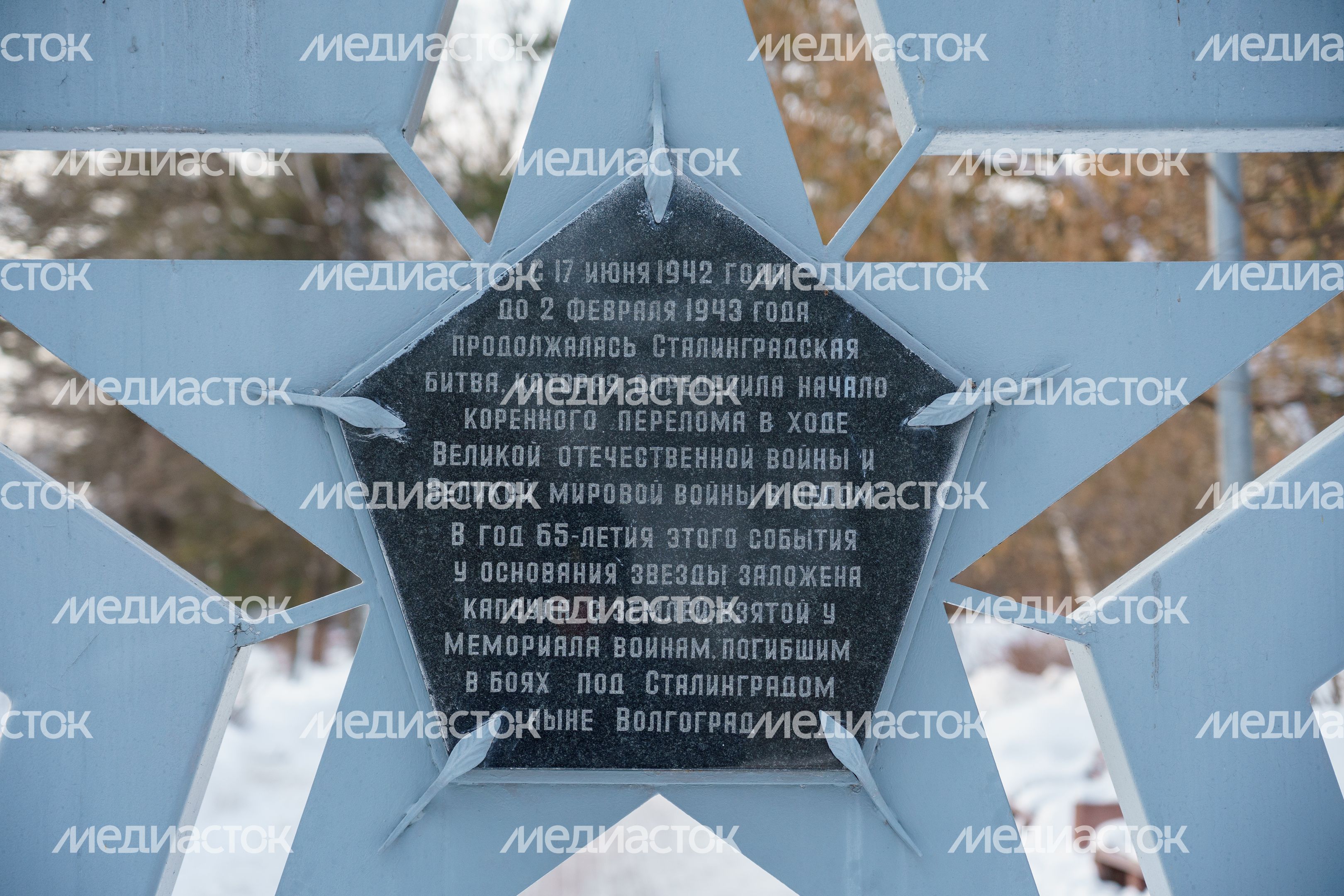 Домодедово. Аллея 60-летия Победы Домодедово. Аллея 60-летия Победы