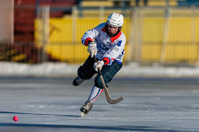 Чемпионат России по хоккею с мячом в Красногорске