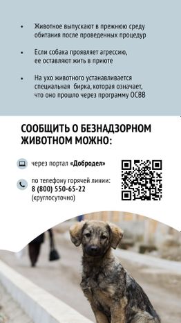 Безнадзорные животные
