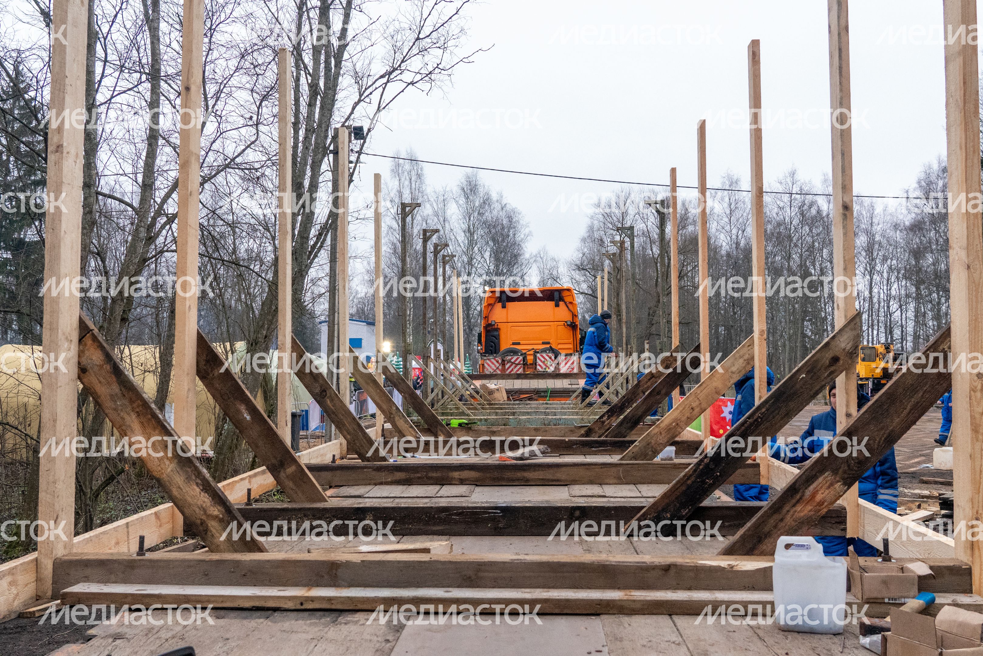 Главную новогоднюю елку страны спилили в Рузском округе Главную новогоднюю елку страны спилили в Рузском округе