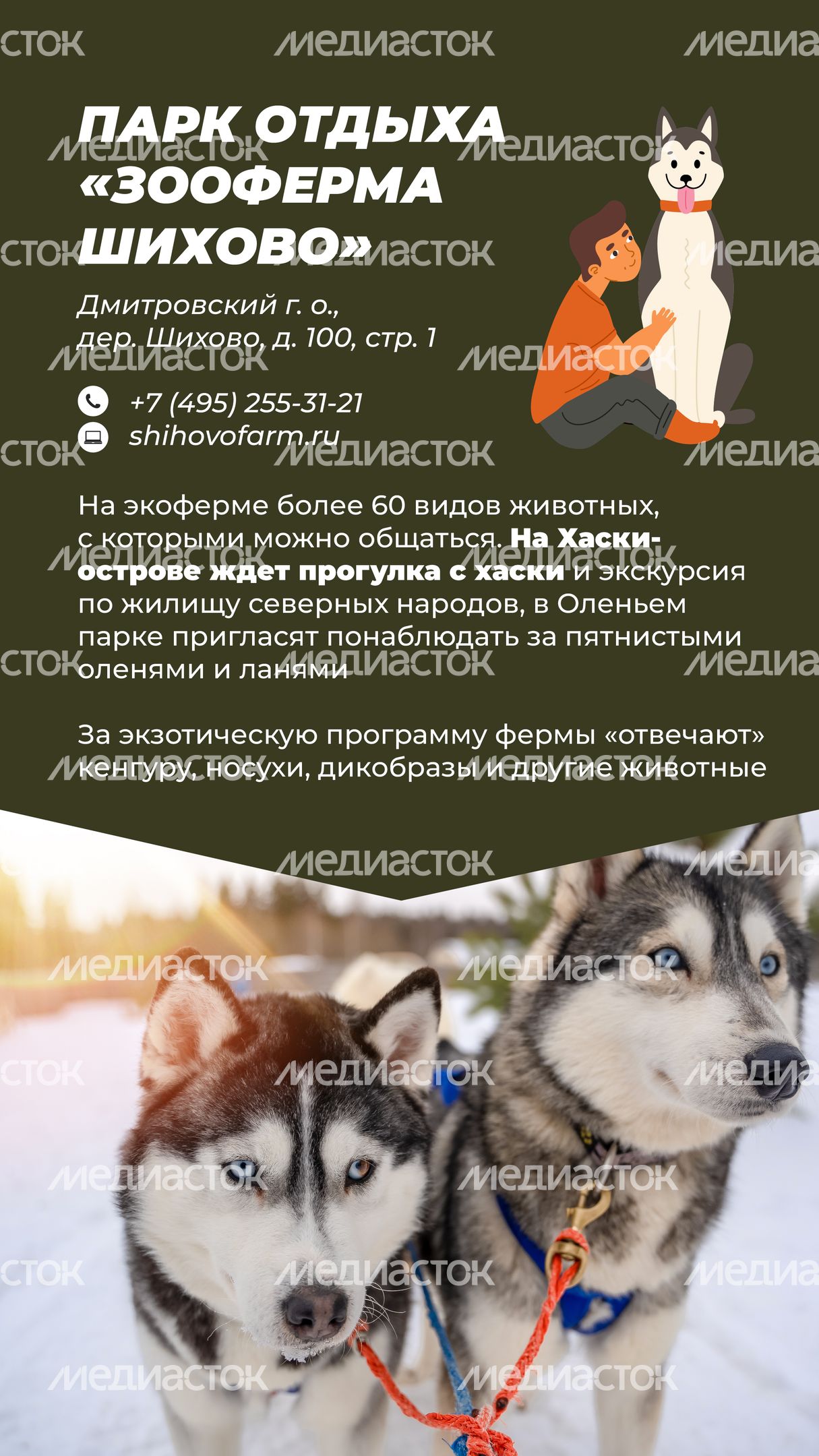 Фермы с животными-09.jpg