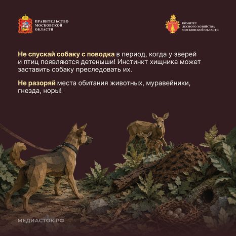 Пребывание граждан в лесах квадрат 07