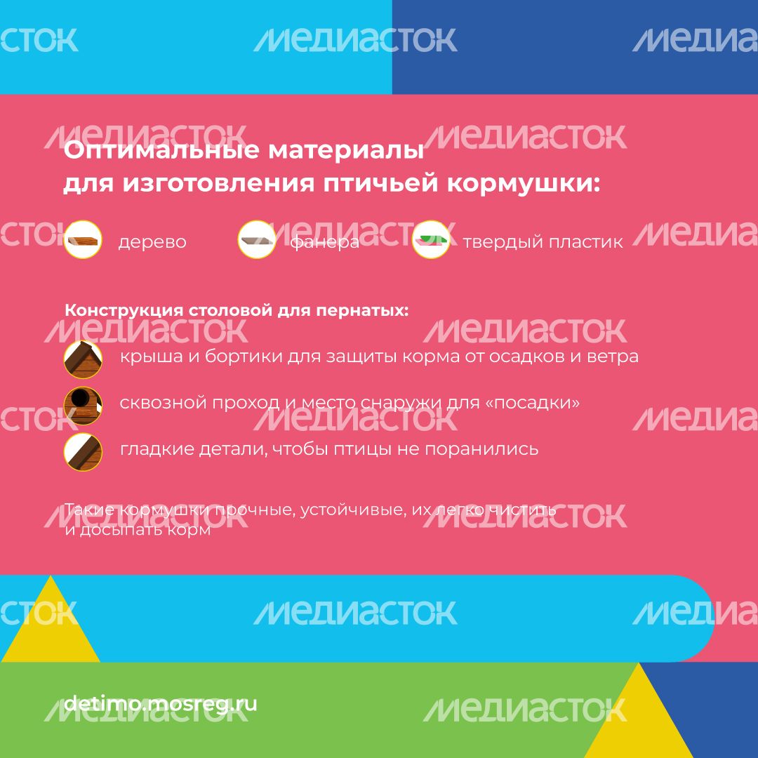 синичкин_день_квадрат_06.jpg