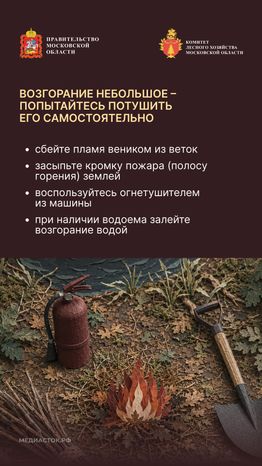 Живете рядом с лесом вертикаль 09