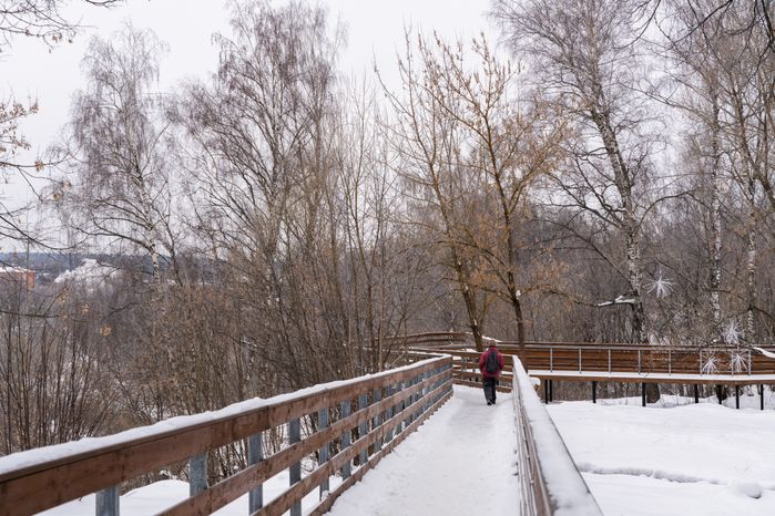 Истринский городской парк зимой