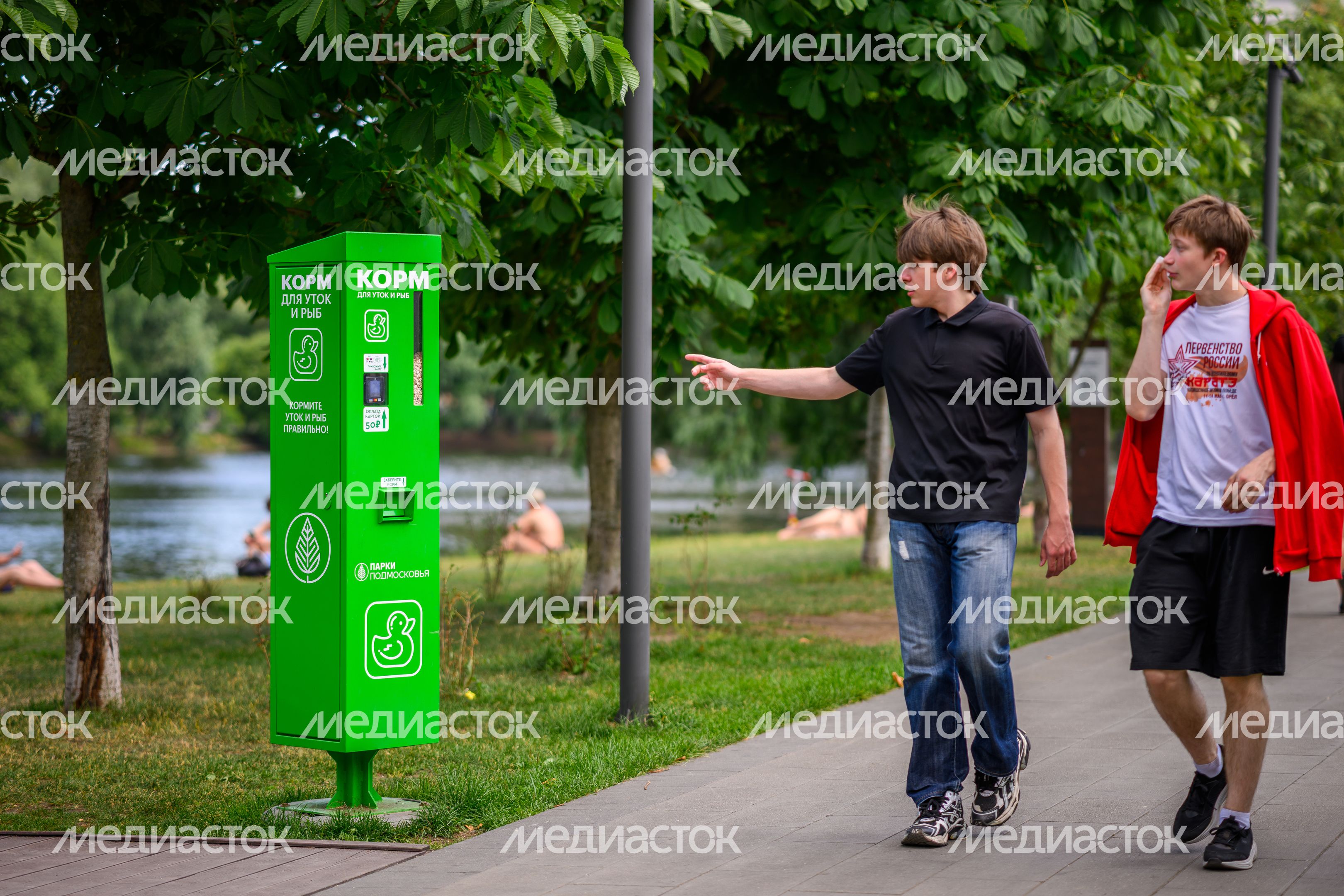 Лето в Наташинском парке Люберец