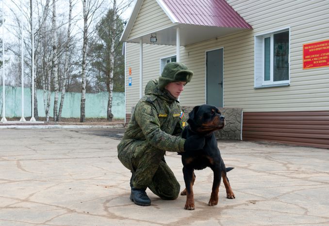 Племенной питомник «Красная Звезда» в Дмитровском районе