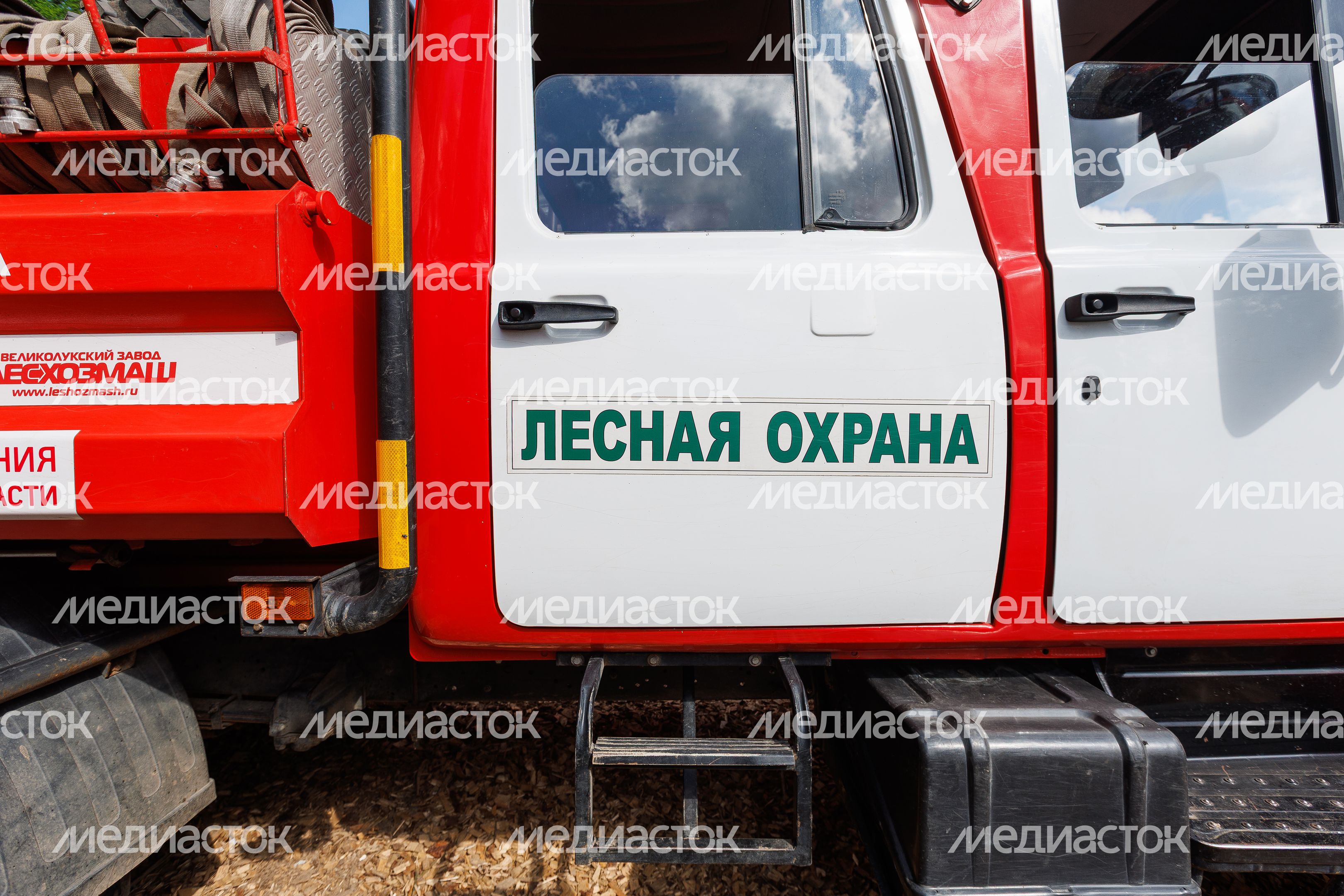 Сад Памяти в Подмосковье-2026: лесная охрана на акции по посадке деревьев в Химках Сад Памяти в Подмосковье-2026: лесная охрана на акции по посадке деревьев в Химках