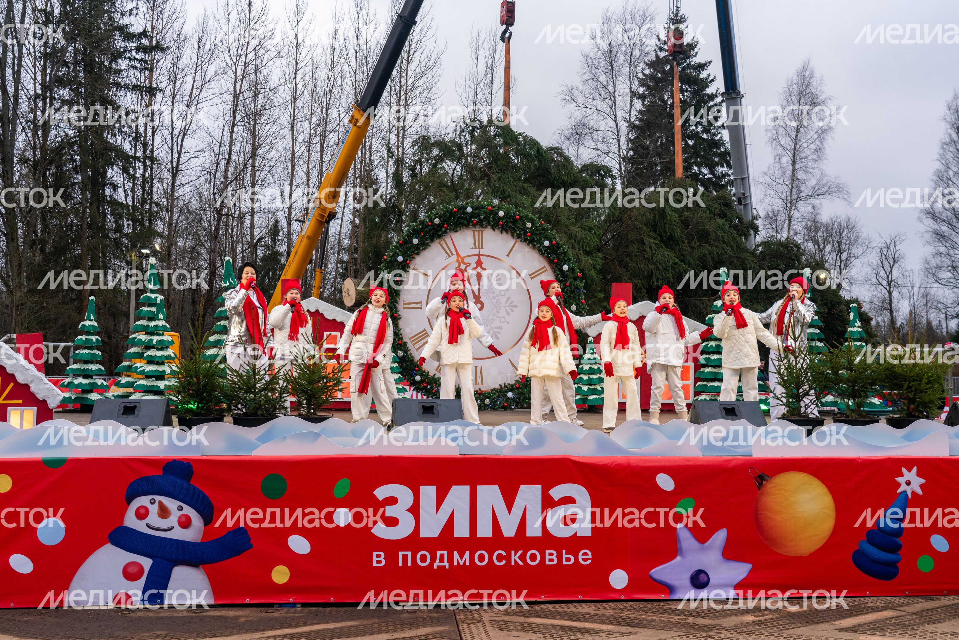 Главную новогоднюю елку страны спилили в Рузском округе Главную новогоднюю елку страны спилили в Рузском округе