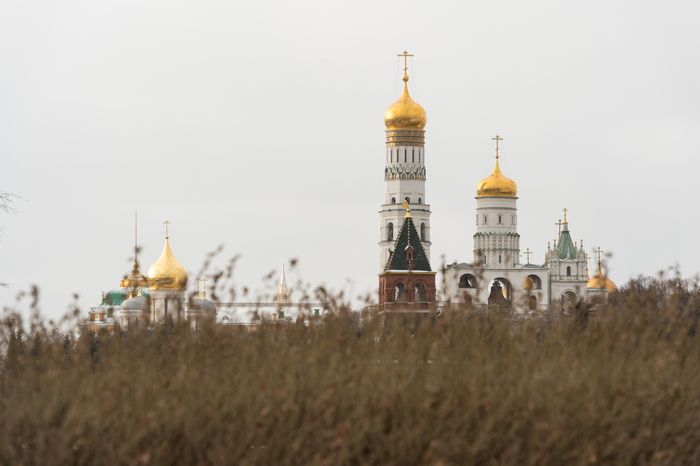 Люди в масках в период эпидемии коронавируса